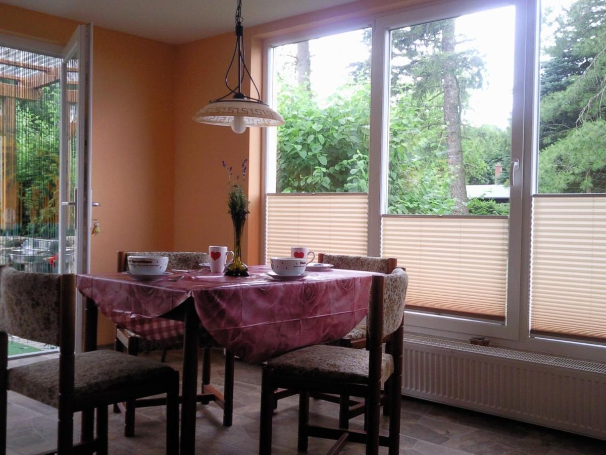 Ferienhaus Harzer Bauernhof Thale Dış mekan fotoğraf