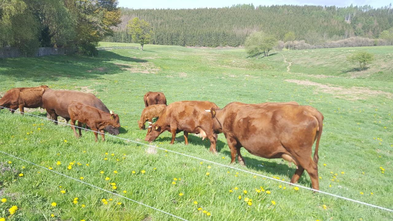 Ferienhaus Harzer Bauernhof Thale Dış mekan fotoğraf
